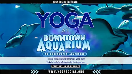Yoga at the Downtown Aquarium in Denver with Yoga Social