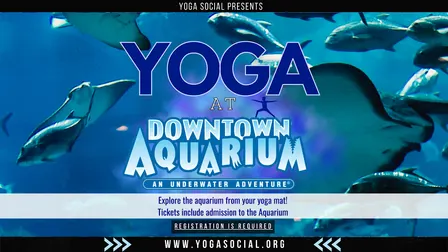 Yoga at the Downtown Aquarium in Denver with Yoga Social