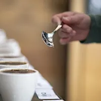 Calibration Cupping  - September 23, 2026