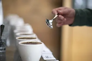 Calibration Cupping  - September 23, 2026