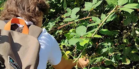 Discover Wild Food: Foraging Walks in Cambridge