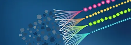Flow Cytometry Workshop: Basics and Beyond