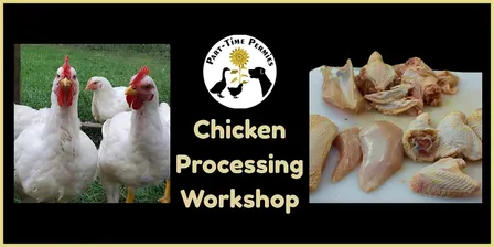 2026 On Farm Chicken Processing Workshop