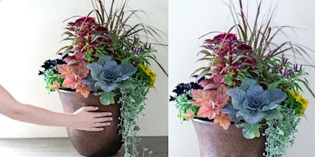 Make-n-Take: Fall Container Garden at Mahoney's Concord