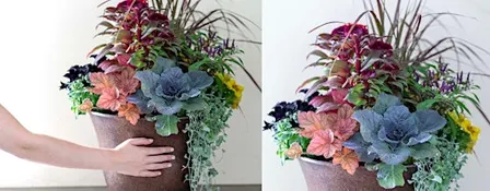 Make-n-Take: Fall Container Garden at Mahoney's Chelmsford