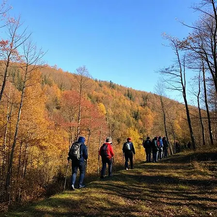 Merestead's Take-A-Hike Day 2026
