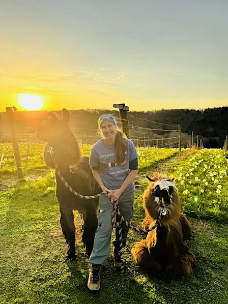 Llamas and Llibations