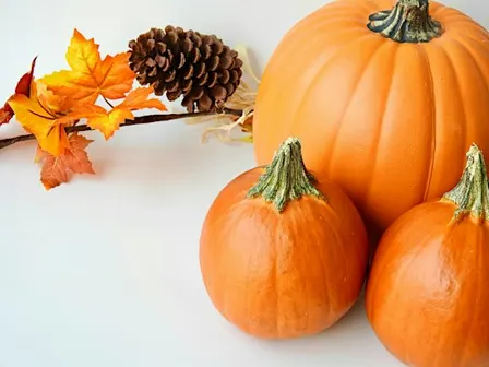 Pumpkin Flower Top Arrangement Workshop in Raleigh