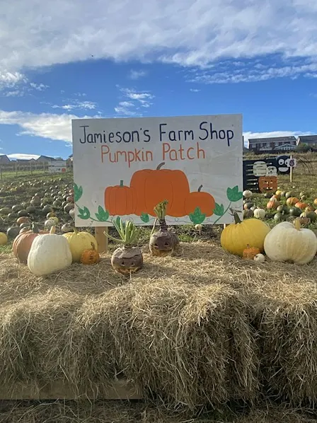 Jamieson's Farm Shop Pumpkin Patch 2026