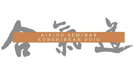 10th Year Anniversary Seminar at Konshinkan Dojo