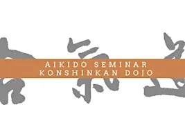 10th Year Anniversary Seminar at Konshinkan Dojo