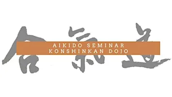 10th Year Anniversary Seminar at Konshinkan Dojo