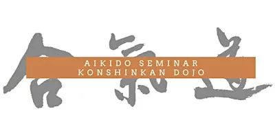 10th Year Anniversary Seminar at Konshinkan Dojo