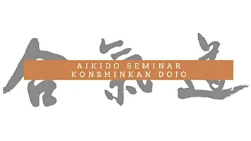 10th Year Anniversary Seminar at Konshinkan Dojo