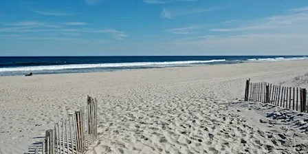 Volunteers Needed for Beach Cleanup at 7-Presidents Oceanfront Park