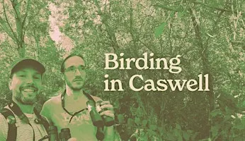 Birding at Ashworth Holmes Park! (Every Tues Sep 7-29)