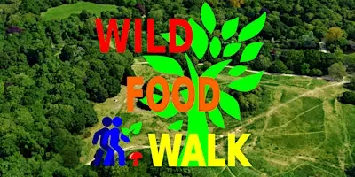 September Hampstead Heath (London) Wild Food Foraging/ Foragers Walk.