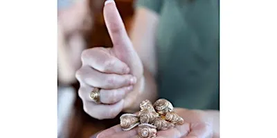Aggie Ring Dinner