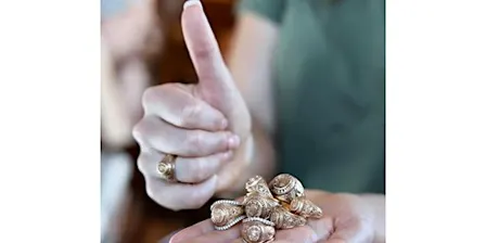 Aggie Ring Dinner