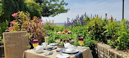 Monarch Butterfly Tea Garden Event