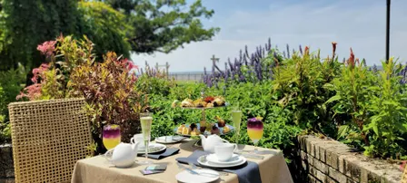 Monarch Butterfly Tea Garden Event