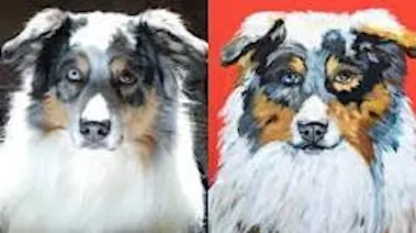 Paint Your Pet   Sunday,  Nov. 15th  5:30pm $49
