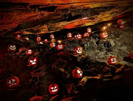 "Light into the Dungeon:" A Jack O' Lantern Experience