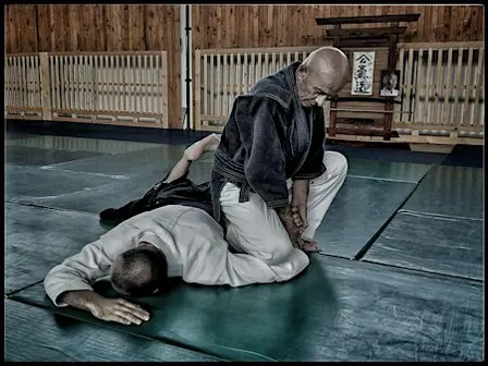 6. Annual Aikido Course with Nebi Vural Sensei
