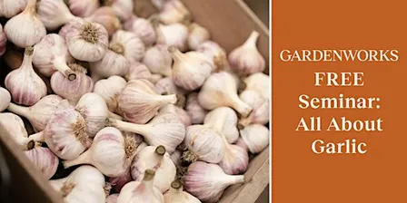 FREE Seminar: All About Garlic at GARDENWORKS Colwood