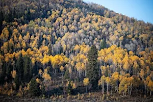 Meet the Ambassadors: Hike on the 910 Ranch