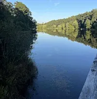 2nd Annual Save Yourself Experience Reflections Hike