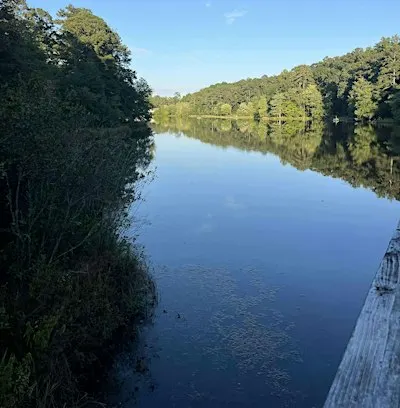 2nd Annual Save Yourself Experience Reflections Hike