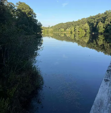 2nd Annual Save Yourself Experience Reflections Hike