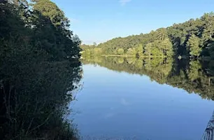 2nd Annual Save Yourself Experience Reflections Hike