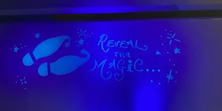 Blacklight Tour - Reveal the Magic