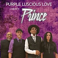 Prince Tribute Show