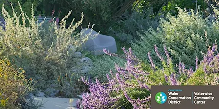 Fall Waterwise and California Native Garden Care