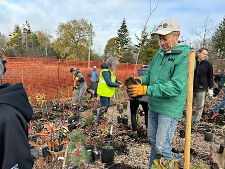 Steve Snoddon Mini Forest - Tree Planting  Event