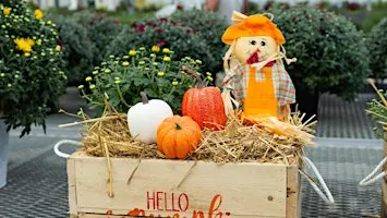 Autumn Inspirations – Create Your Own Crate or Bushel Buddy