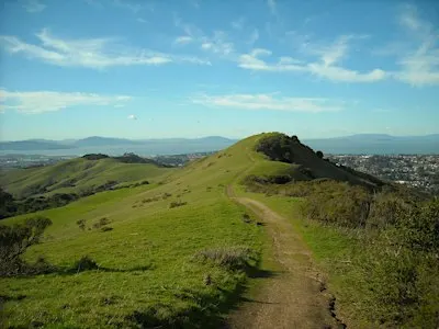 Wildcat Canyon Wander