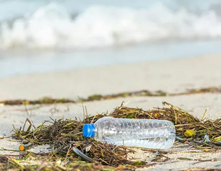 Beach Cleanup