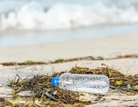 Beach Cleanup