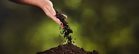 A Greener Goodbye: Continuing the Exploration of Eco Friendly Burials