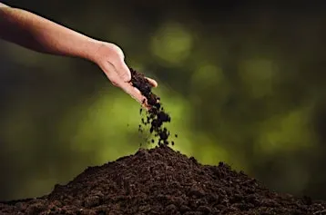 A Greener Goodbye: Continuing the Exploration of Eco Friendly Burials