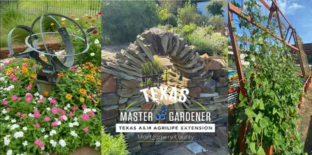 October Open Gardens Day at the MCMGA Gardens