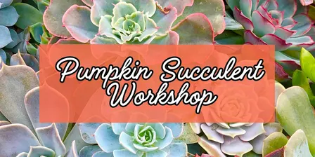 Pumpkin Succulent Workshop