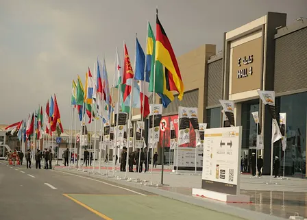 IEX Egypt
