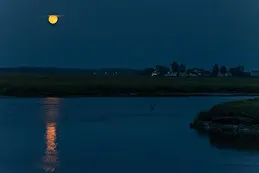 Full Moon Walk through the Scarborough Marsh - September 2026