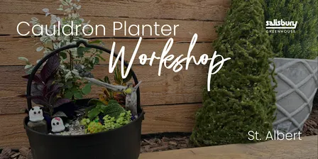 DIY Cauldron Planter | KIDS Workshop | St. Albert