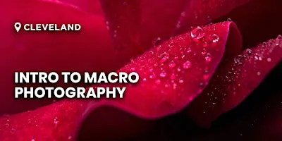 Intro to Macro Photography | Cleveland, OH
